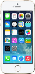 Apple iPhone 5s