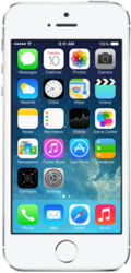 Apple iPhone 5s Silver