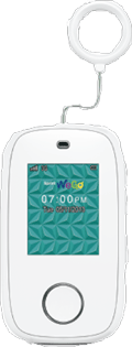 Sprint WeGo White