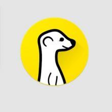 Meerkat Mobile App Launches On Android